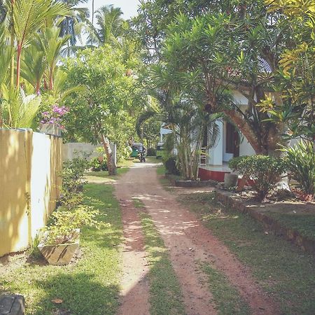 Hikka Surf Hostel Хикадува Екстериор снимка