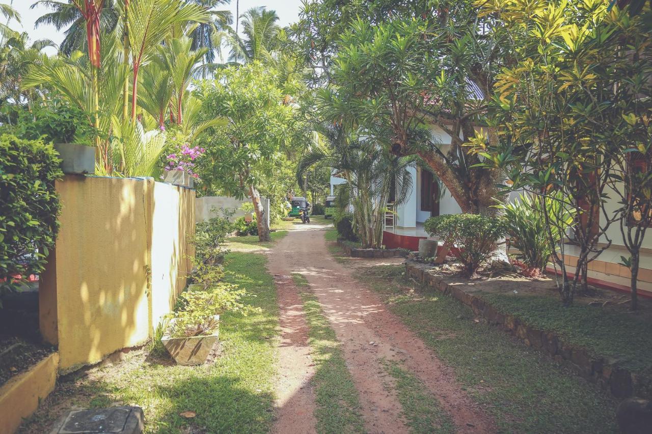 Hikka Surf Hostel Хикадува Екстериор снимка